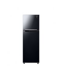 Tủ lạnh Samsung 256 Lít RT25M4032BU/SV