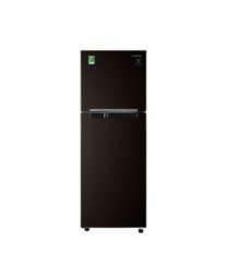 Tủ lạnh Samsung 236 Lít RT22M4032BY/SV