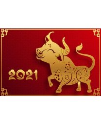 Chương trình  mua 1 tặng 2 nhân dịp cuối năm tại 769Audio