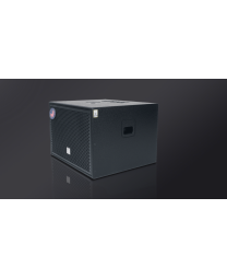 Sub hơi CAVS DX115 bass 40