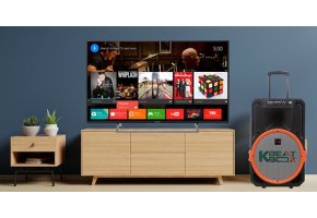 Hướng dẫn kết nối loa kéo với tivi để hát karaoke tại nhà