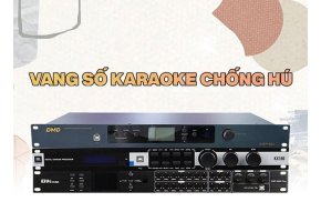 Top 10 Vang Số Karaoke Đáng Sở Hữu 