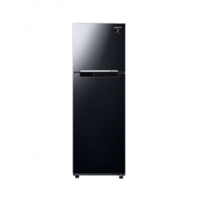 Tủ lạnh Samsung 256 Lít RT25M4032BU/SV