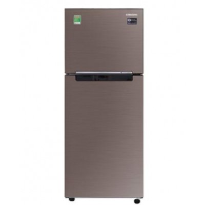 Tủ lạnh Samsung 236 Lít RT22M4040DX/SV