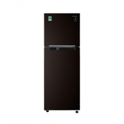 Tủ lạnh Samsung 236 Lít RT22M4032BY/SV