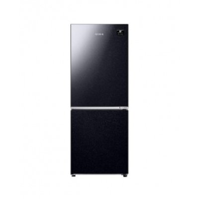Tủ lạnh Samsung 256 Lít RT25M4032BY/SV