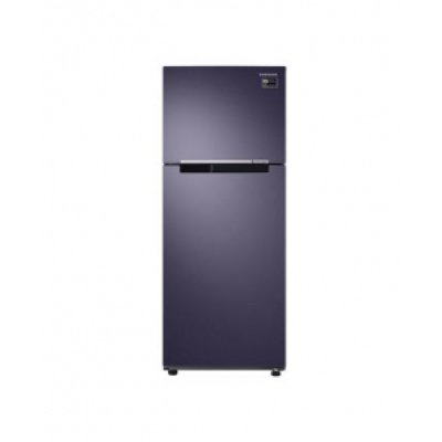Tủ lạnh Samsung 256 lít RT25M4033UT/SV