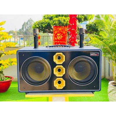 Loa Xách Tay V2 Pro