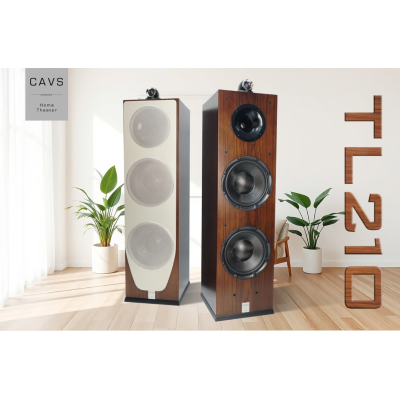 Loa Hifi TL210