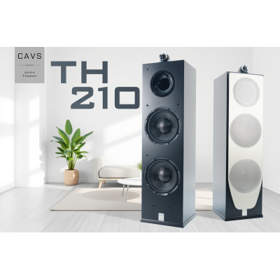 Loa Hifi TH210