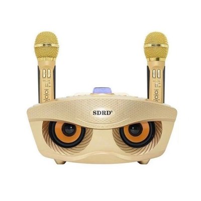 Loa Bluetooth SD 306 | Kèm 2 Tay Mic