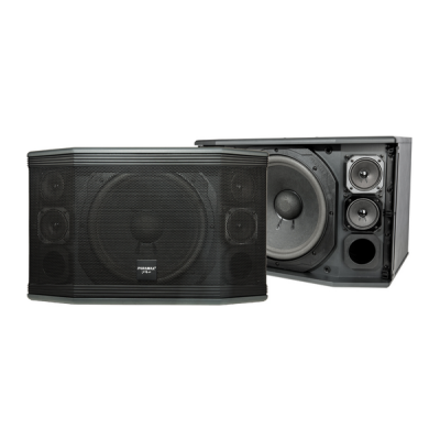 Loa karaoke Paramax Pro C12 