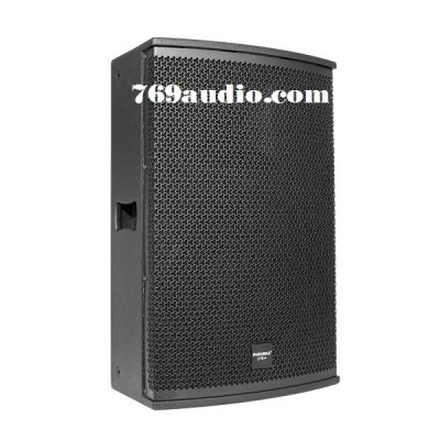 Loa Paramax Pro S15