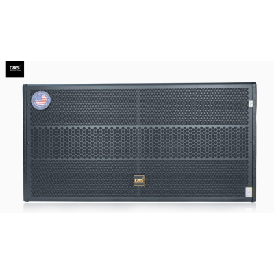 Sub hơi CAVS CX218 bass 50 x 2