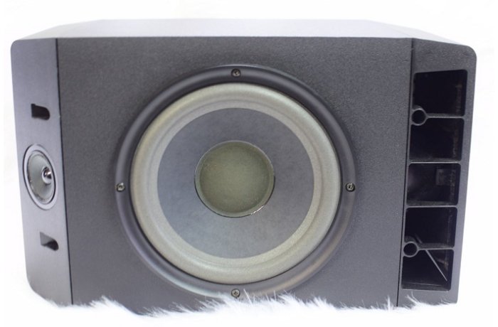 Loa Karaoke Bose 301 Seri IV