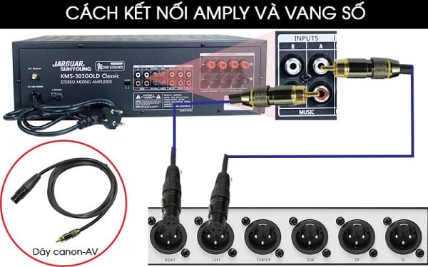 Đầu Nối Amply Jarguar Với Vang Số