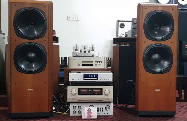Độ Bền Loa Tannoy D900
