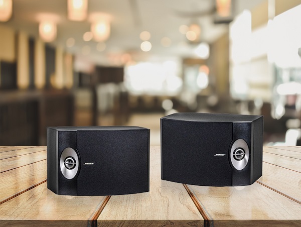 Loa Bose 301 seri V là mẫu loa đình đám của thương hiệu Bose 