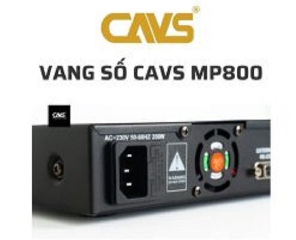 Vang Số CAVS MP800 Chính Hãng