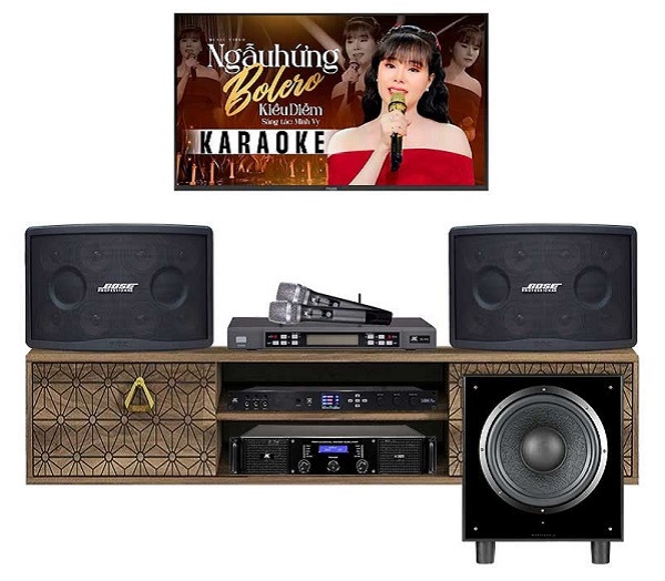 Phối Loa Bose 802 Với Subwoofer