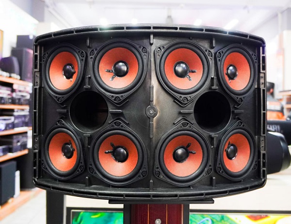 Tại Sao Loa Bose 802 Seri 5 Phải Dùng EQ/ConTroller