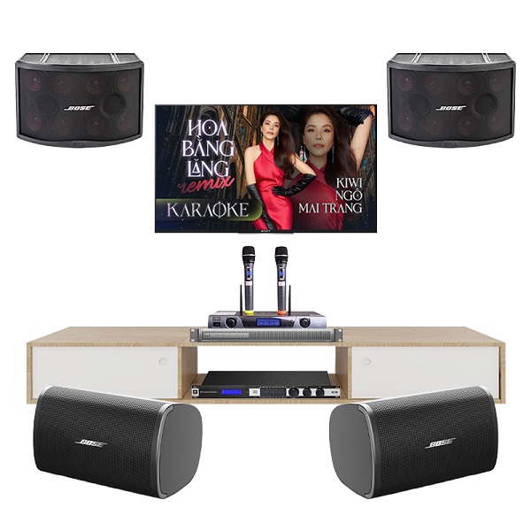 Kết Nối Hệ Thống Với Loa Bose 802 Seri 5