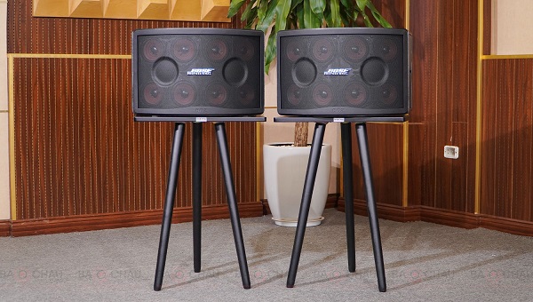 Cố định Vị Trí Loa Bose 802 Seri 5