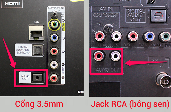 Cổng 3.5mm và jack RCA