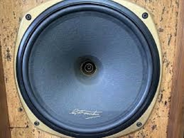 Amp Phù Hợp Cho Tannoy Memory TW