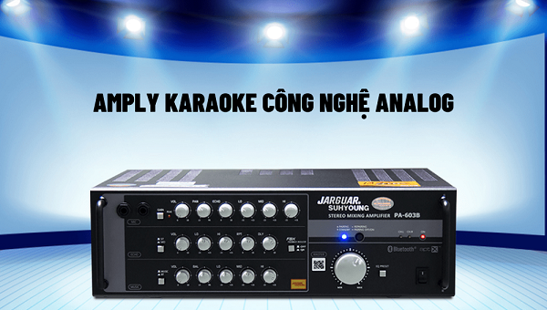 Amply Karaoke Analog