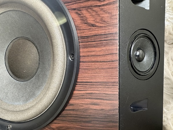 Chất Lượng Âm Thanh Bose 301 Series IV