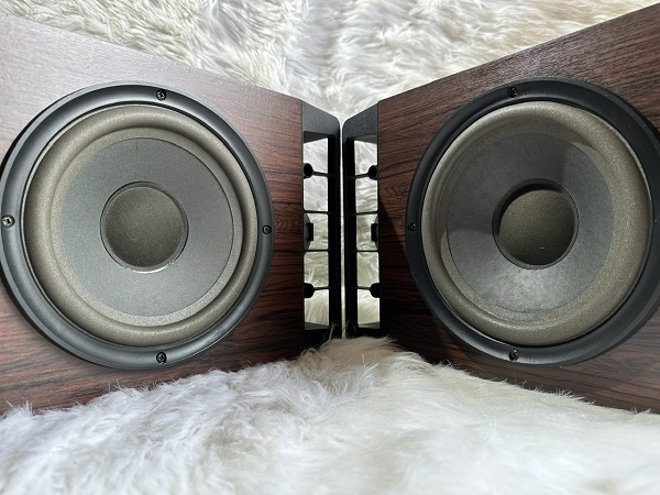 Review Bose 301 Series IV