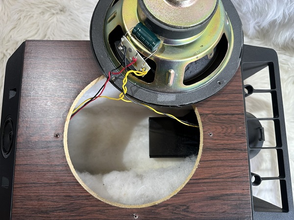 Bose 301 Series IV Giá Rẻ xem bên trong ruột của loa