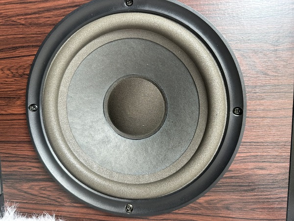 Đánh Giá Bose 301 Series IV