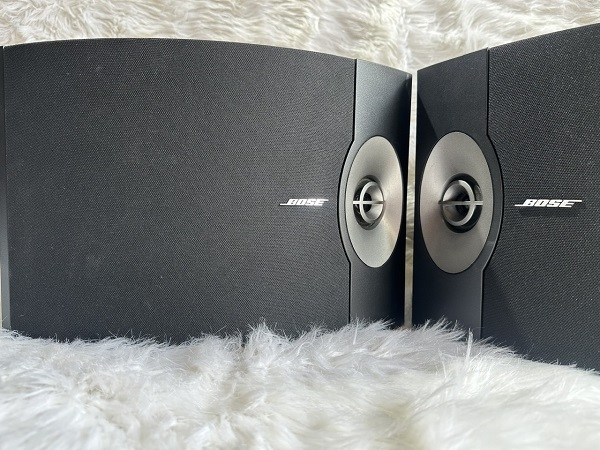 LOA BOSE KARAOKE 301