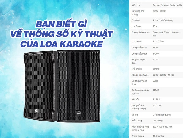 Các Thông Số Kỹ Thuật Loa Karaoke