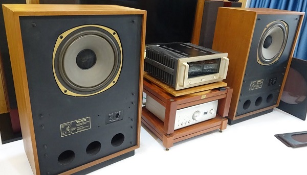 Công Dụng Tannoy Arden MKII