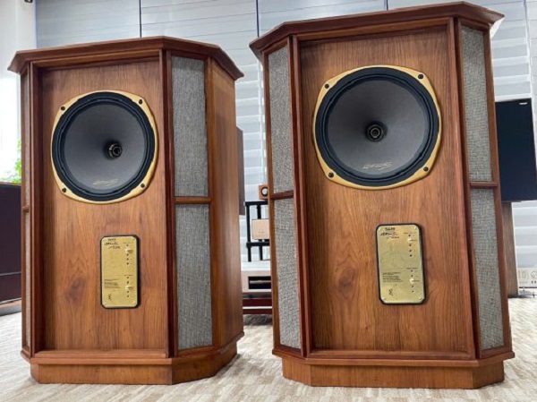Cất Trữ Dài Hạn Loa Tannoy Memory RW