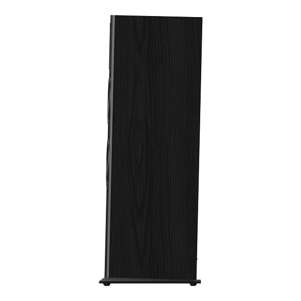 Mua ​Màu Sắc Loa Paramax EURO 803 Classic​ Ở Đâu?