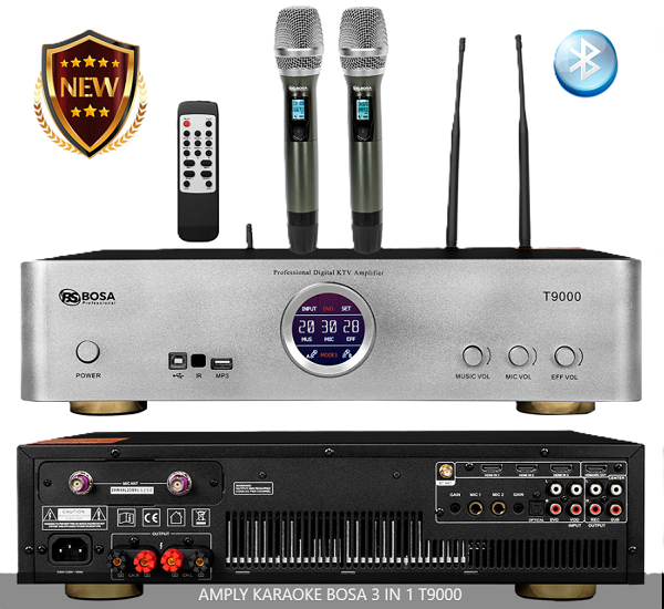 Cục Đẩy Công Suất Amply Karaoke