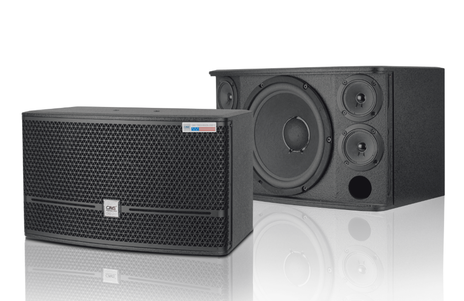 Ai nên mua Loa CAVS CK10 