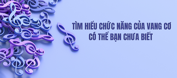 Chức Năng Của Vang Cơ