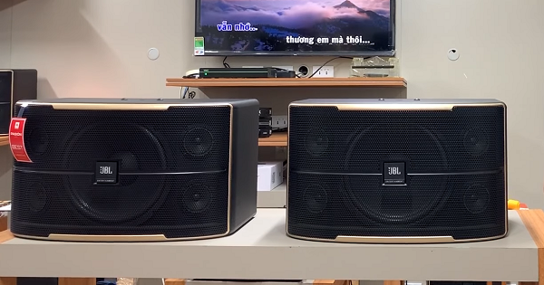 Cách Chọn Mua Loa JBL Pasion 10