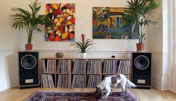 Hướng Dẫn Sử Dụng Loa Tannoy Cheviot