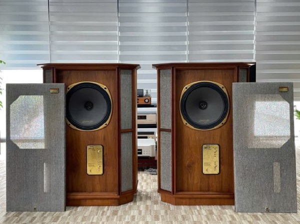 Hướng Dẫn Từng Bước Vệ Sinh Loa Tannoy Memory Rw