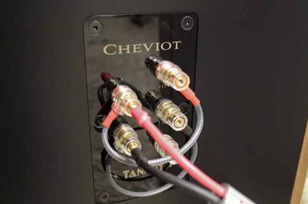 Hệ Thống Kết Nối Loa Tannoy Cheviot