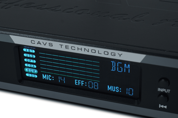 Lợi Ích Độc Quyền Khi Sở Hữu Vang Cơ CAVS K3000 Pro Tại 769 Audio