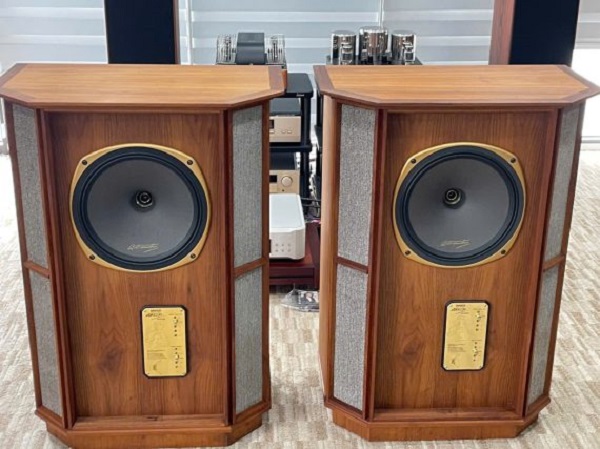 Khám Phá Thiết Kế Loa Tannoy Memory RW