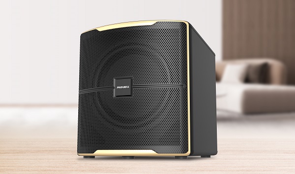 Một Số Khuyết Điểm Cần Lưu Ý Khi Dùng Sub Pasion 12SP