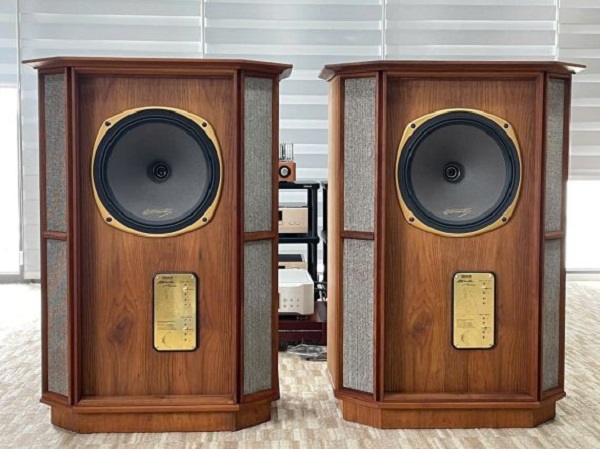 Kiểm Soát Môi Trường Tránh Mốc Cho Loa Tannoy Memory RW